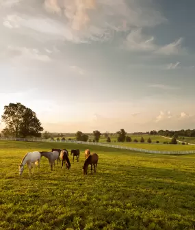 Kentucky