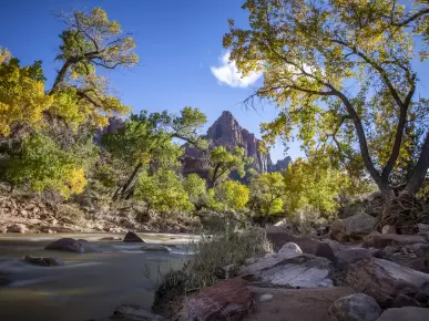 Zion National Park Zion National Park