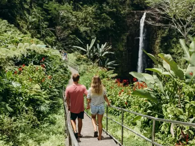 Akaka Falls State Park Akaka Falls State Park