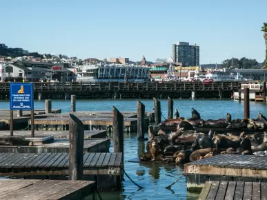 PIER 39 PIER 39