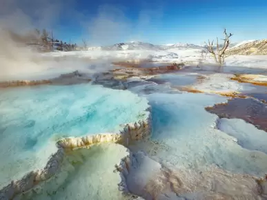 Visit Mammoth Hot Springs Visit Mammoth Hot Springs
