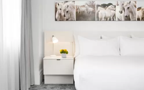 City Queen City Queen