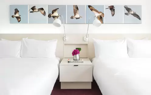 Deluxe Double Queen Deluxe Double Queen