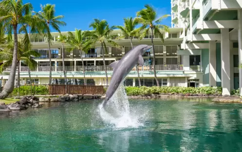 Dolphin Lanai Dolphin Lanai
