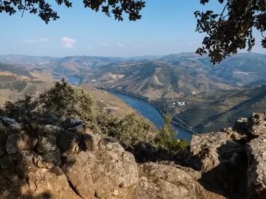 Régua Régua