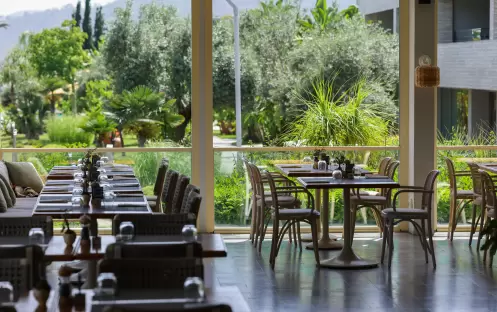 Olives, Dining Olives, Dining