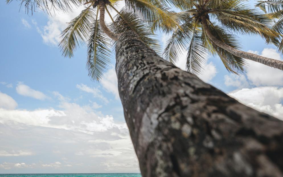 Saint Pierre - cyril-mazarin-SVR_cpZDvHU-unsplash.jpg