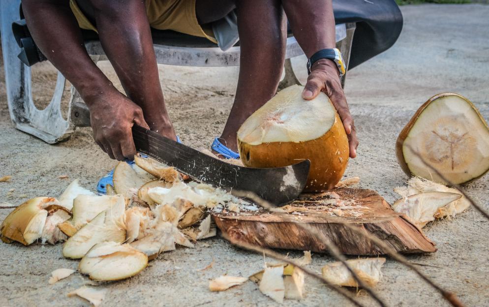 Saint Pierre - jametlene-reskp-jMbY6BkR9h4-unsplash.jpg