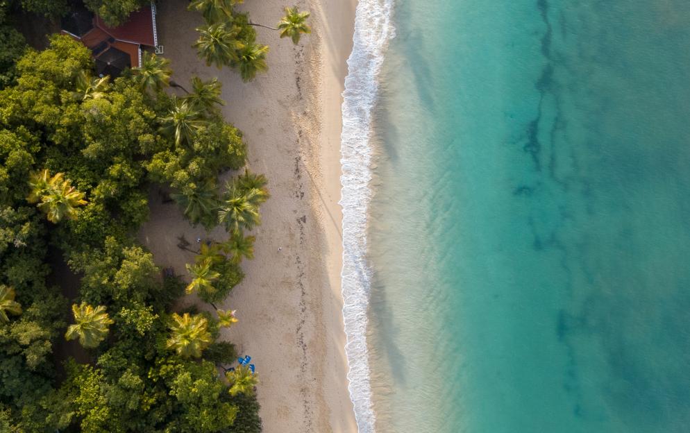 Saint Pierre - pierre-becam-nfX2klXT2u8-unsplash.jpg