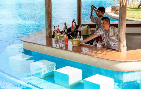 Fun Pool Bar Bartender Fun Pool Bar Bartender