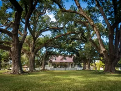 Natchitoches Natchitoches