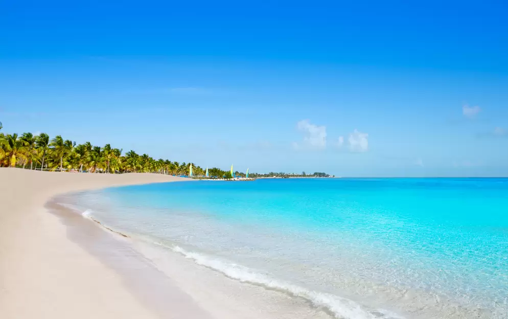 Key West, Florida - Key-West_906.jpg