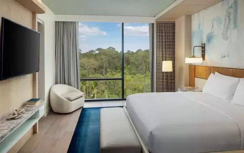 Nature View Luxury Suite With Balcony King Nature View Luxury Suite With Balcony King