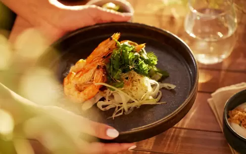 Seasons, Dish Seasons, Dish