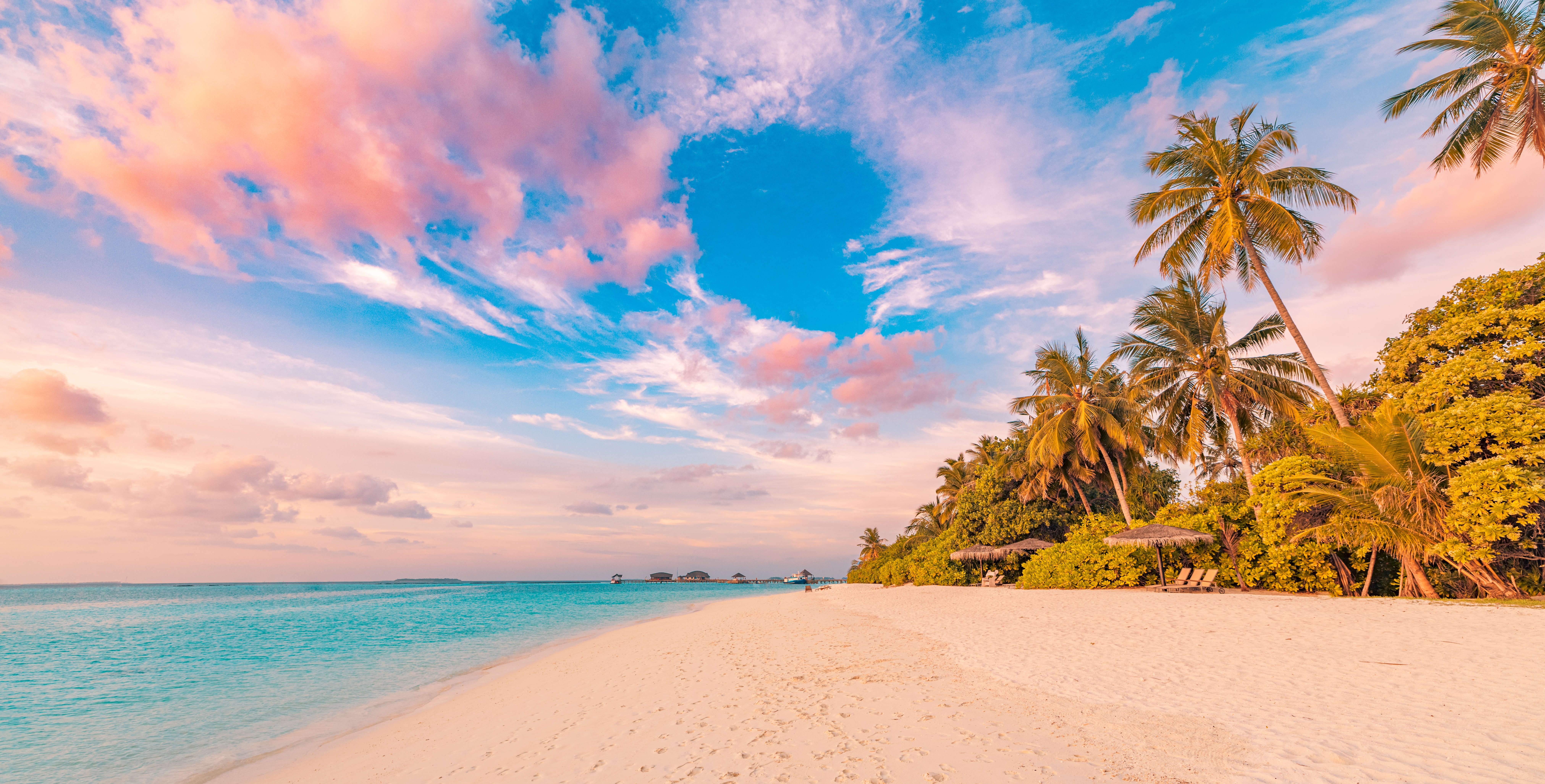 shutterstock_2385515923 shutterstock_2385515923