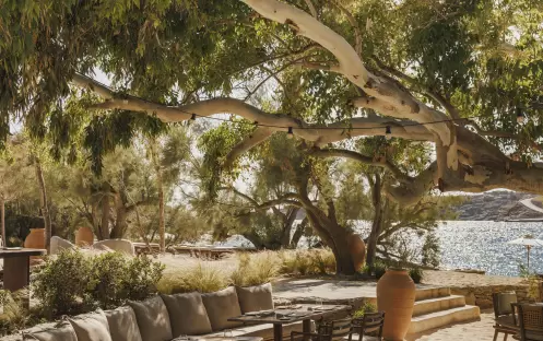 Bond Beach Club Bond Beach Club