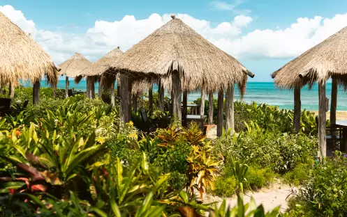 Galley Bay Resort - Final 1 -15 Galley Bay Resort - Final 1 -15