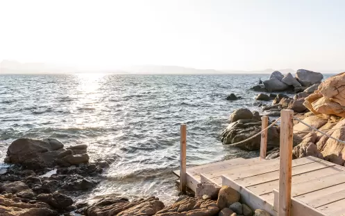 SARDH_Cone Club 12 SARDH_Cone Club 12