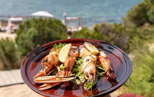 SARDH_Cone Club 14 SARDH_Cone Club 14