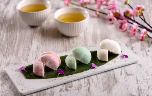 Moon Palace Cancun - Momo’s_Mochi Moon Palace Cancun - Momo’s_Mochi