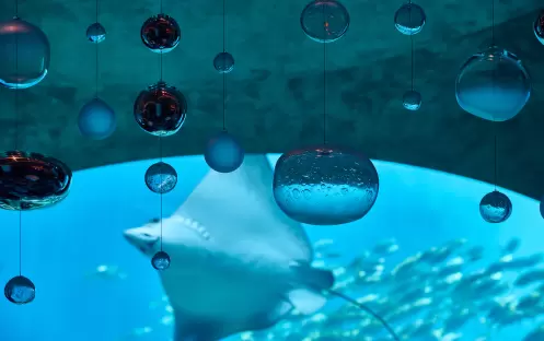 Atlantis The Palm - Ossiano_Atlantisthepalm Atlantis The Palm - Ossiano_Atlantisthepalm