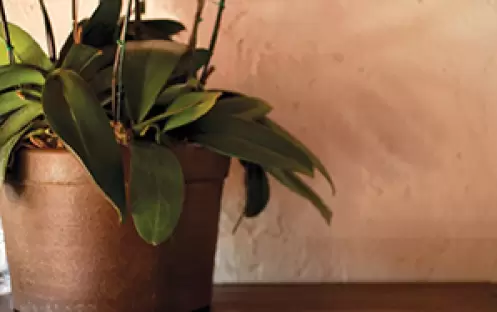 An-elegant-touch_Tamarind-Suites An-elegant-touch_Tamarind-Suites