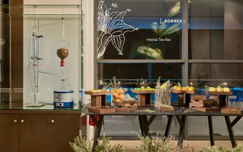 europe-holidays-greece-rhodes-gennadi-grand-resort-grand- bar europe-holidays-greece-rhodes-gennadi-grand-resort-grand- bar