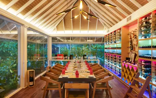 indian-ocean-holidays-maldives-sun-siyam-vilu-reef-maldives-wine-cellar indian-ocean-holidays-maldives-sun-siyam-vilu-reef-maldives-wine-cellar