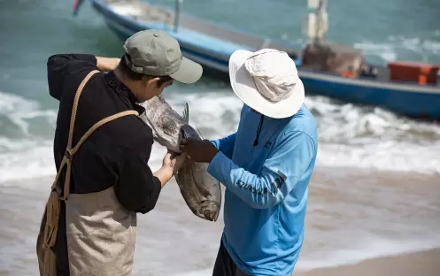 thailand-holidays-koh-samui-garrya-tongsai-bay-samui-hotel-fish-tales thailand-holidays-koh-samui-garrya-tongsai-bay-samui-hotel-fish-tales